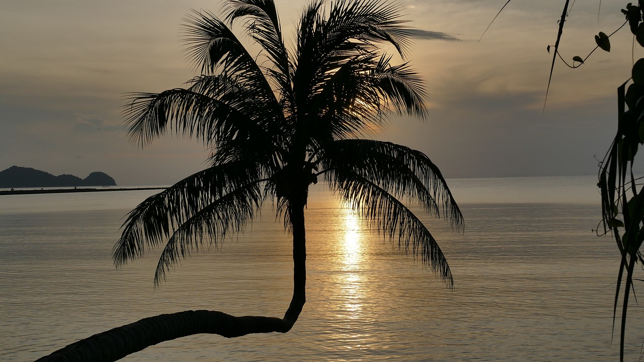 探索瑰丽红海湾，一场海洋与阳光的浪漫邂逅