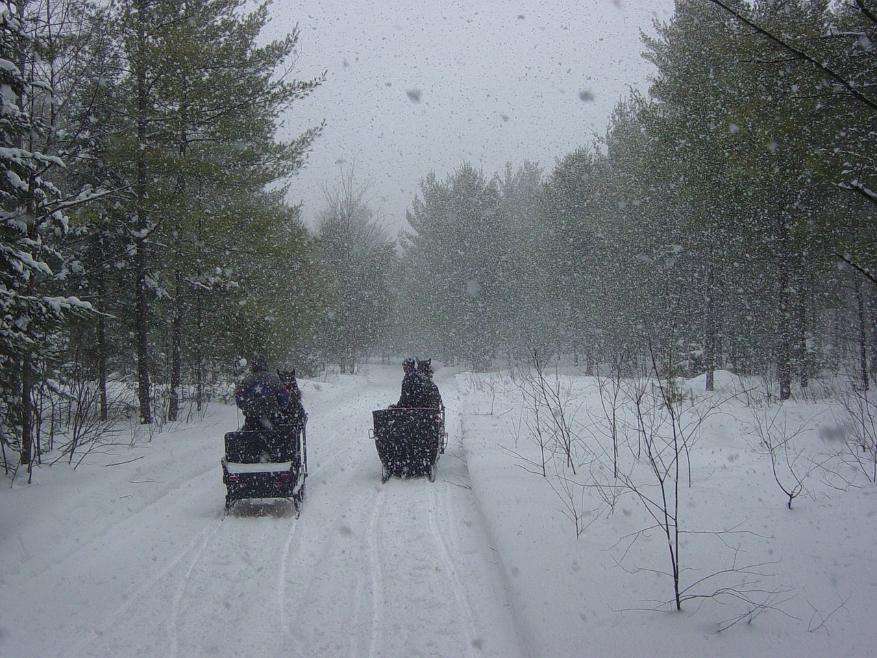 冬日奇遇记，一月热门国内旅游胜地推荐，拥抱不一样的冰雪奇缘